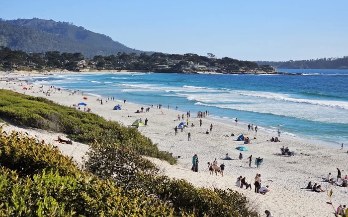 White sand beach at Carmel with cypress trees