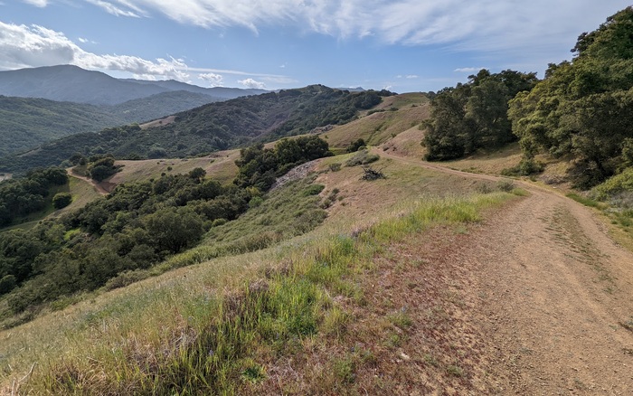 Rolling trail through oak groves at Calero County Park