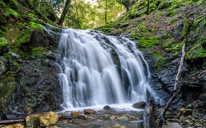 Shaded hiking trail through Uvas Canyon