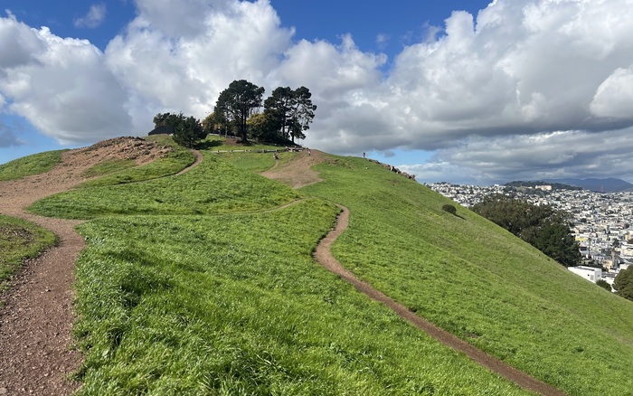 Bernal Heights Dog Play Area off-leash dog area in San Francisco