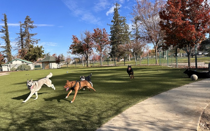 Roy M. Butcher Dog Park off-leash area in San Jose