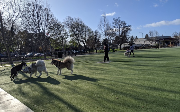 Central Park Dog Park off-leash dog area in Fremont