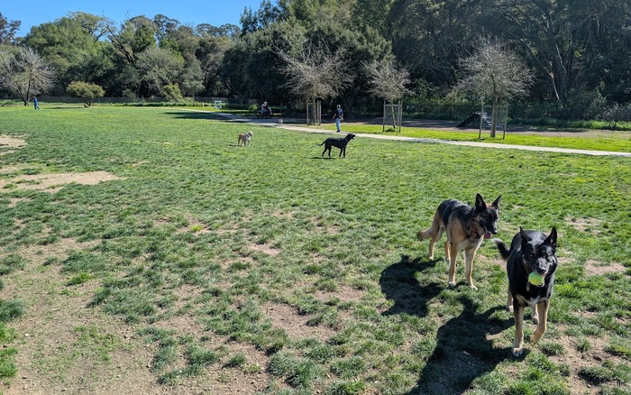 Dogbone Meadow Dog Park off-leash dog area in Novato