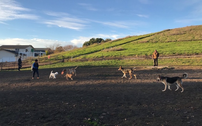 Dougherty Hills Dog Park off-leash dog area in Dublin