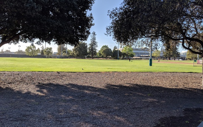 Fair Oaks Park off-leash dog area in Sunnyvale