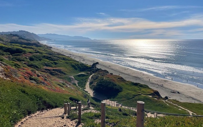 Fort Funston off-leash dog area in San Francisco