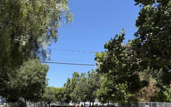 Small-dog area at Reed Street (Raymond G. Gamma) Dog Park in Santa Clara