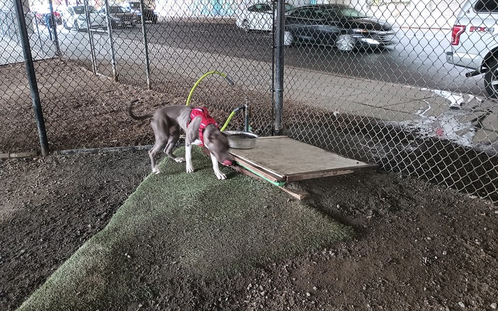 Hardy Dog Park off-leash dog area in Oakland