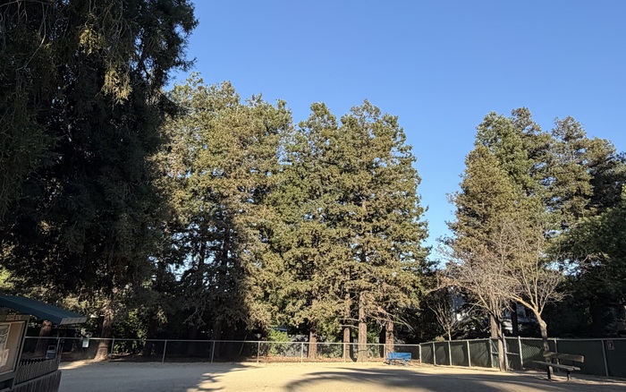 Big-dog area at Las Palmas Park dog park in Sunnyvale