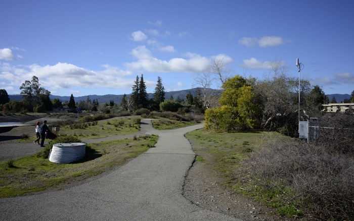 Los Gatos Creek County Dog Park off-leash run in Campbell
