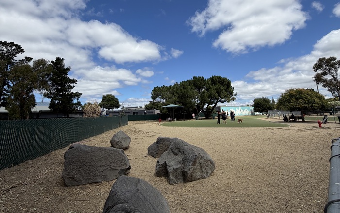 Big-dog area at Los Gatos Creek County Dog Park in Campbell