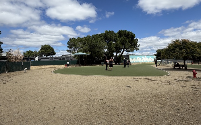 Big-dog area at Los Gatos Creek County Dog Park in Campbell