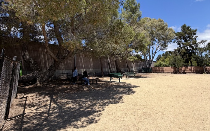 Big-dog area at Mary Avenue Dog Park in Cupertino