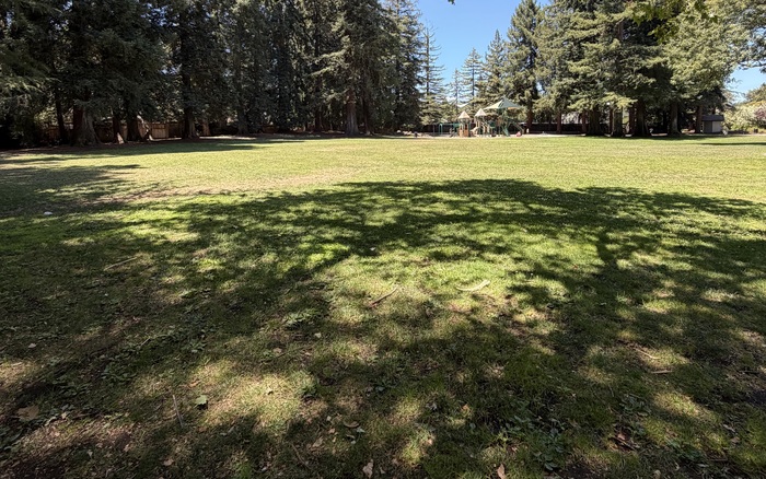 On-leash open space at McKenzie Park in Los Altos