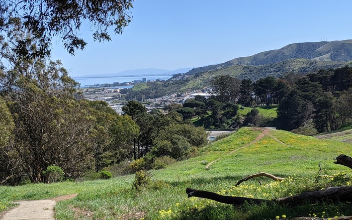 McLaren Park — Shelley Drive Dog Play Area off-leash dog area in San Francisco