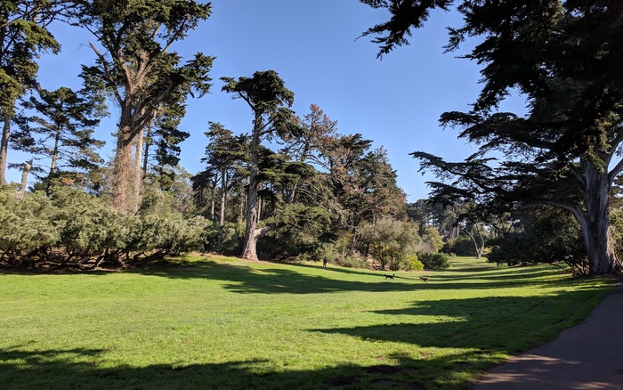 Mountain Lake Park Dog Play Area off-leash dog area in San Francisco