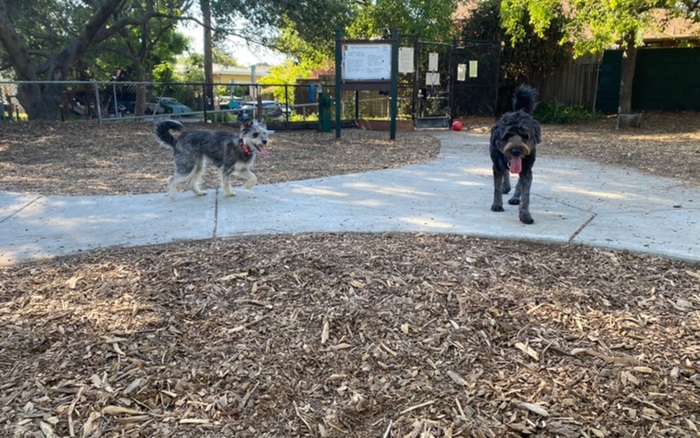 Ohlone Dog Park off-leash dog area in Berkeley