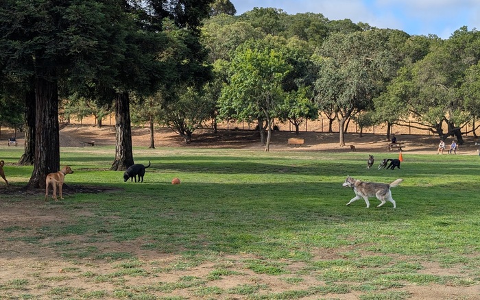 Paso Nogal Dog Park off-leash dog area in Pleasant Hill
