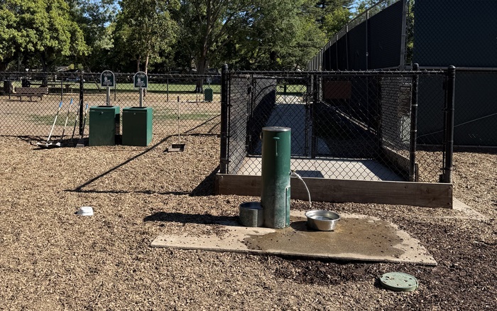 Big-dog area at Peers Park Dog Park in Palo Alto