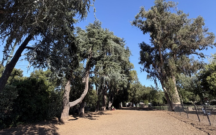 Big-dog area at Peers Park Dog Park in Palo Alto