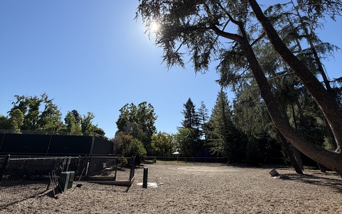 Small-dog area at Peers Park Dog Park in Palo Alto