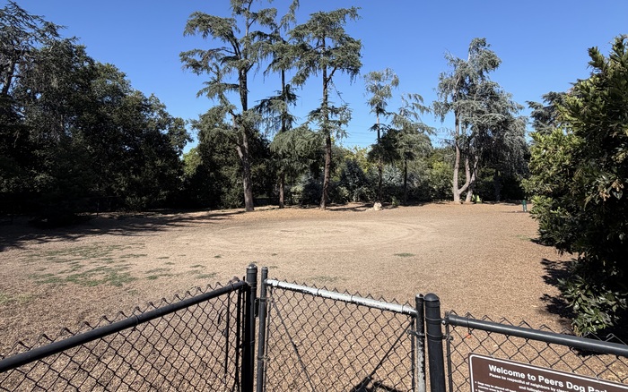 Small-dog area at Peers Park Dog Park in Palo Alto