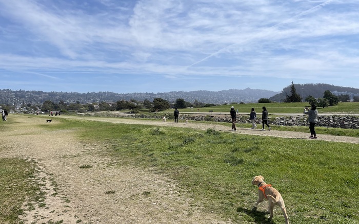 Point Isabel Regional Shoreline off-leash dog area in Richmond
