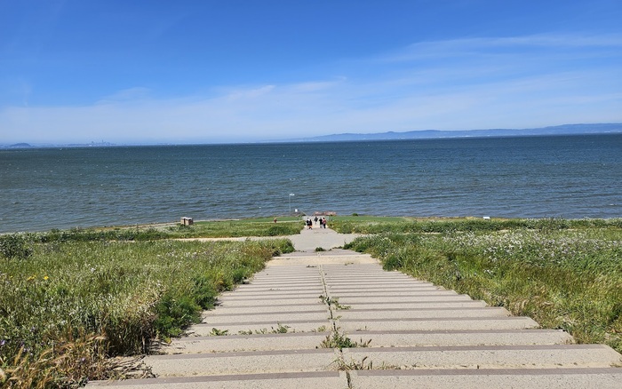 Seal Point Dog Park off-leash dog area in San Mateo