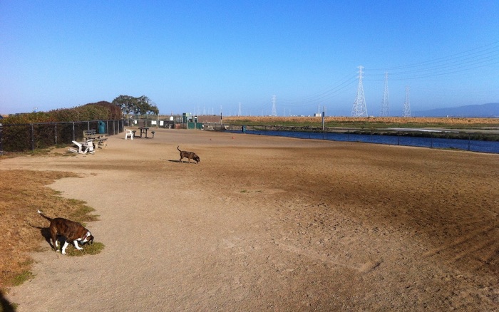Shore Dogs Park off-leash dog area in Redwood City