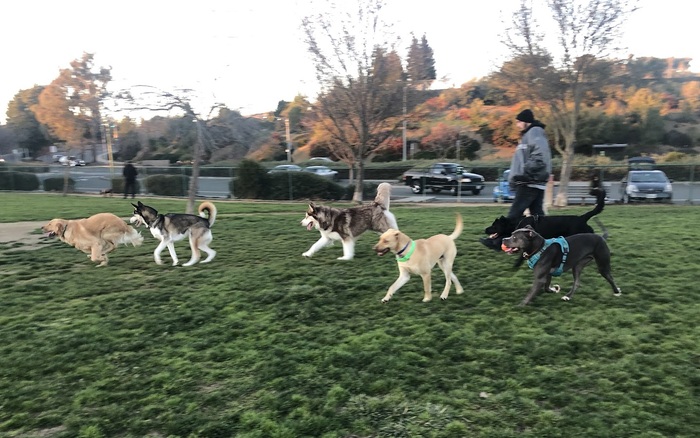 Wardlaw Dog Park off-leash dog area in Vallejo