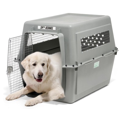 Petmate Sky Kennel (Airline-Compliant)