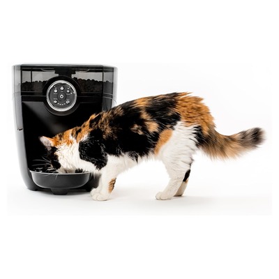 Whisker Feeder-Robot