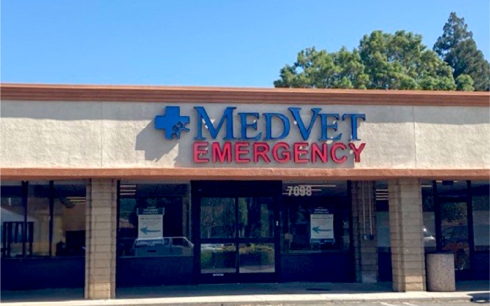 Emergency veterinary hospital entrance