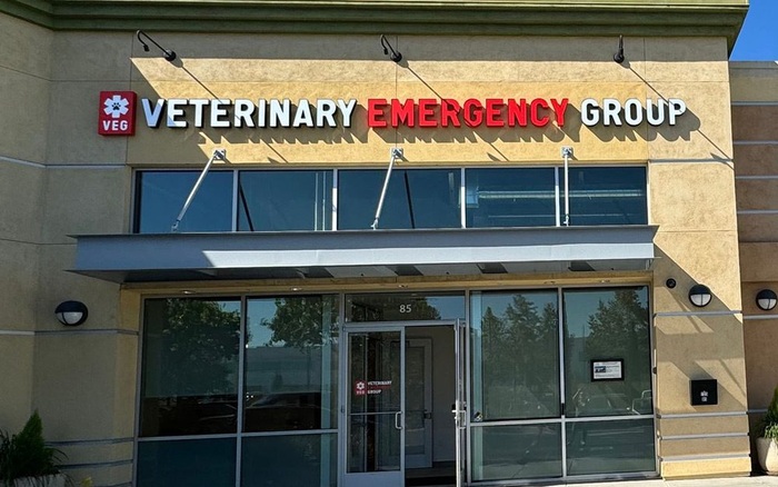 Modern veterinary emergency clinic