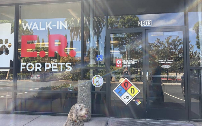 Veterinary Emergency Group Palo Alto clinic on El Camino Real